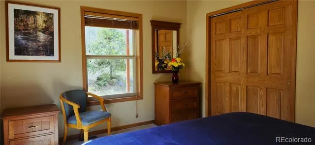 562 Piney Acres Circle Dillon, CO 80435