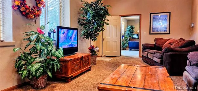 562 Piney Acres Circle Dillon, CO 80435