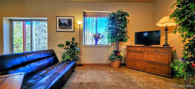 562 Piney Acres Circle Dillon, CO 80435