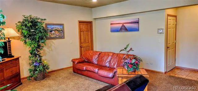 562 Piney Acres Circle Dillon, CO 80435