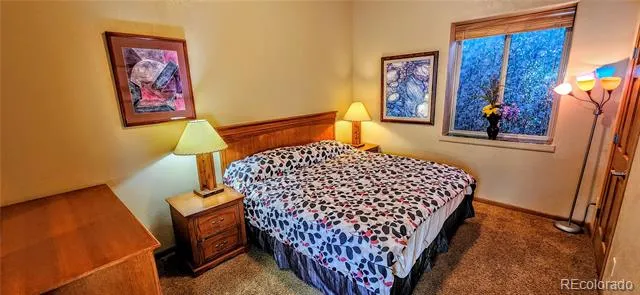 562 Piney Acres Circle Dillon, CO 80435