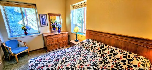 562 Piney Acres Circle Dillon, CO 80435