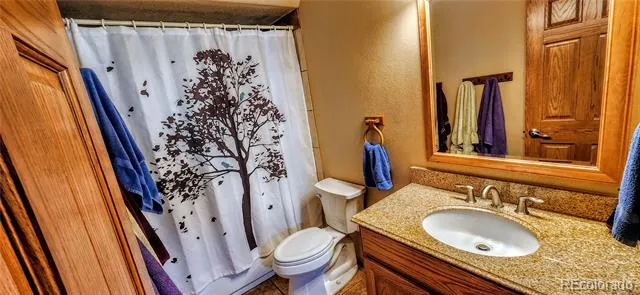 562 Piney Acres Circle Dillon, CO 80435