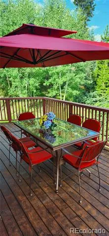 562 Piney Acres Circle Dillon, CO 80435