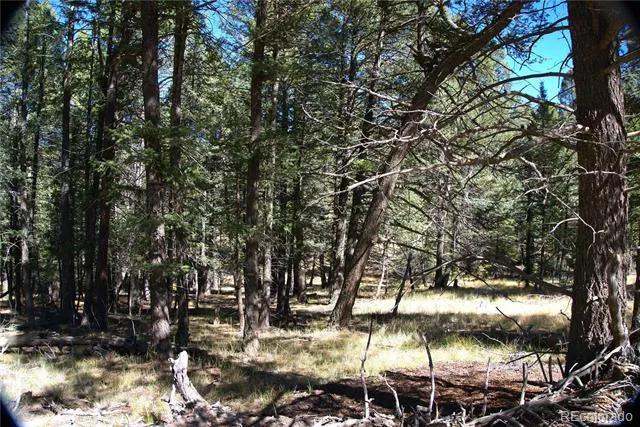 252 Southpark Road Florissant, CO 80816