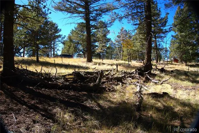 252 Southpark Road Florissant, CO 80816