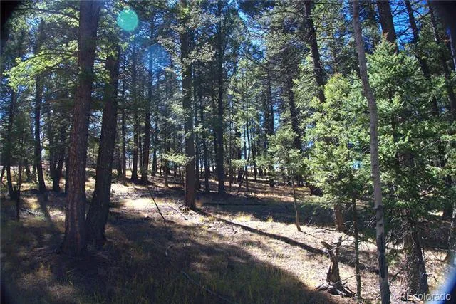 252 Southpark Road Florissant, CO 80816