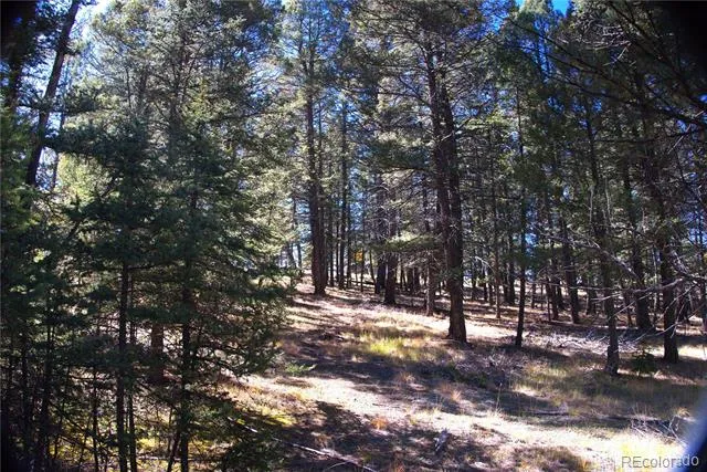 252 Southpark Road Florissant, CO 80816