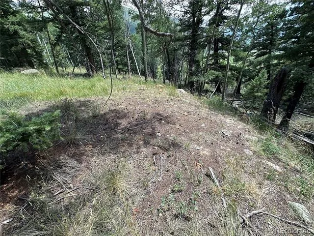 TBD Calkins Jasper, CO 81146