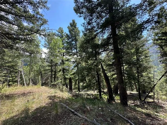 TBD Calkins Jasper, CO 81146
