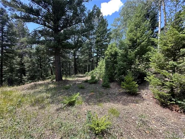 TBD Calkins Jasper, CO 81146