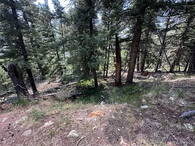 TBD Calkins Jasper, CO 81146