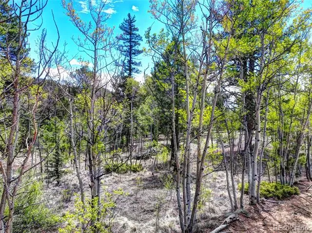0 York Court Jefferson, CO 80456