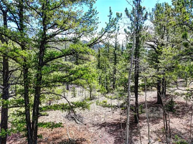 0 York Court Jefferson, CO 80456