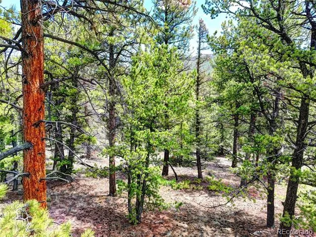 0 York Court Jefferson, CO 80456