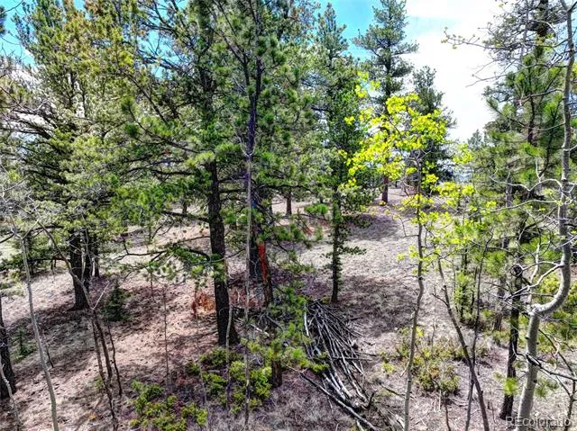 0 York Court Jefferson, CO 80456