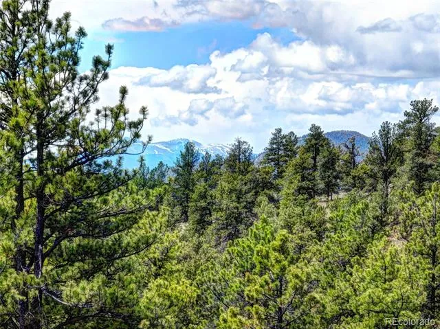 0 York Court Jefferson, CO 80456