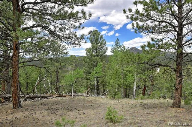 293 Badger Trail Florissant, CO 80816