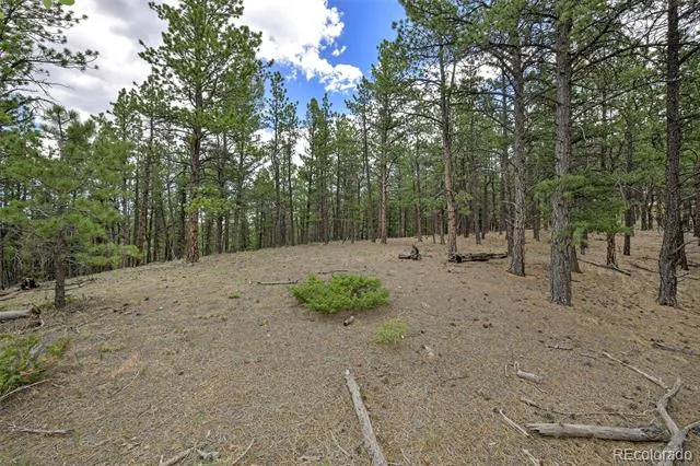 293 Badger Trail Florissant, CO 80816