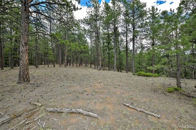 293 Badger Trail Florissant, CO 80816