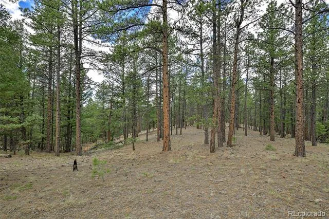 293 Badger Trail Florissant, CO 80816