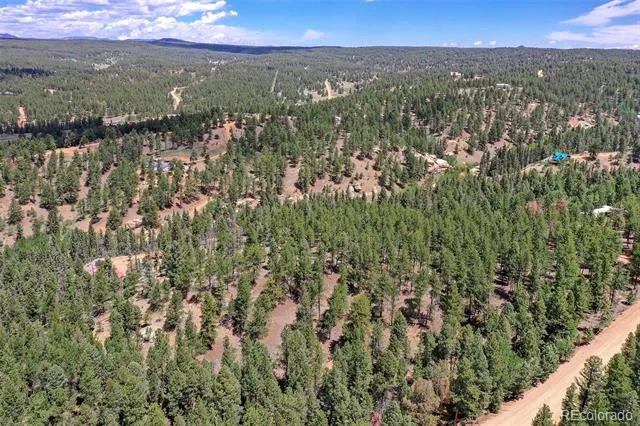 293 Badger Trail Florissant, CO 80816
