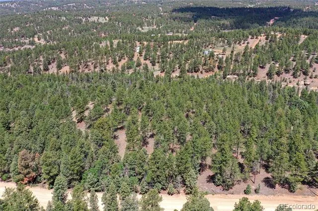 293 Badger Trail Florissant, CO 80816