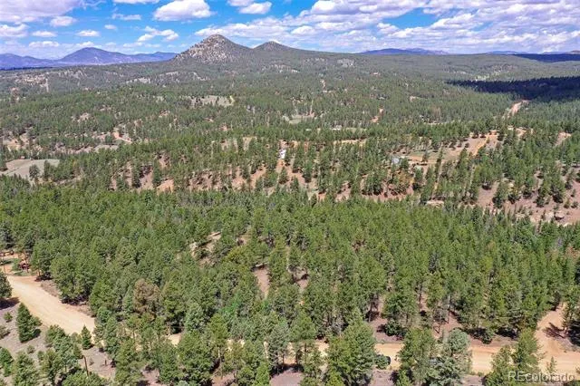 293 Badger Trail Florissant, CO 80816