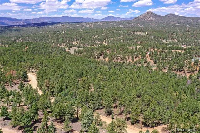 293 Badger Trail Florissant, CO 80816