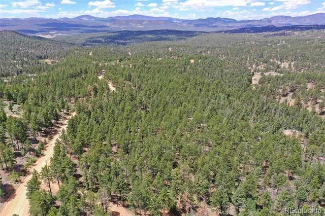 293 Badger Trail Florissant, CO 80816
