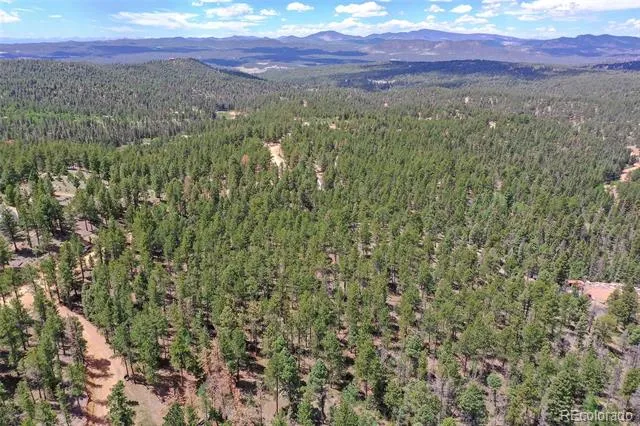 293 Badger Trail Florissant, CO 80816