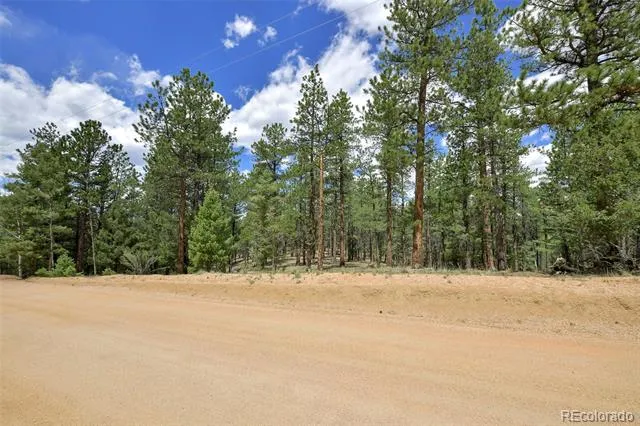 293 Badger Trail Florissant, CO 80816