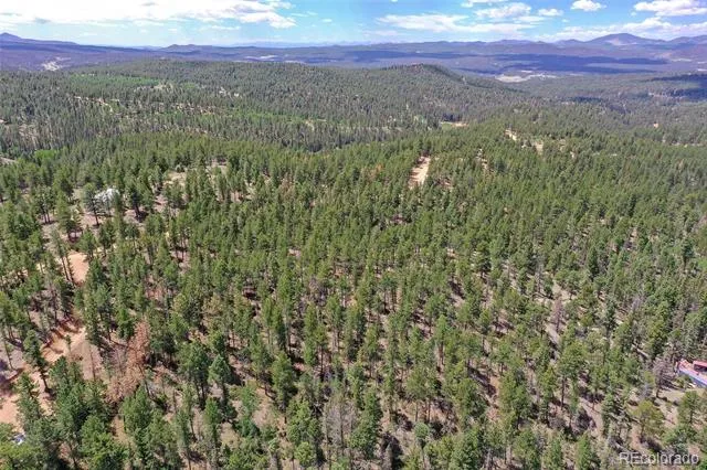 293 Badger Trail Florissant, CO 80816
