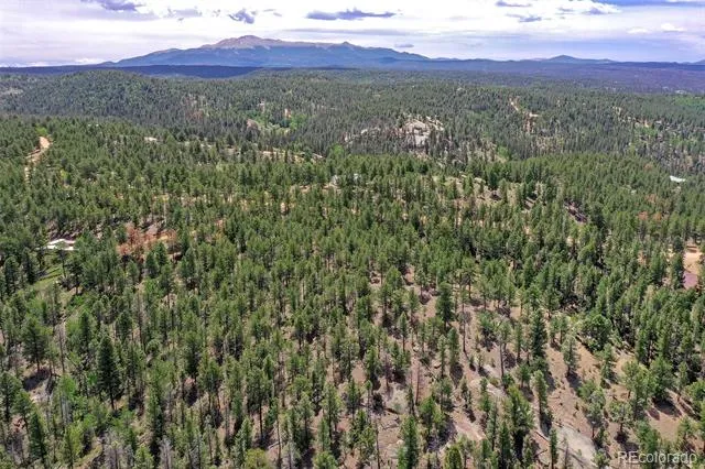 293 Badger Trail Florissant, CO 80816