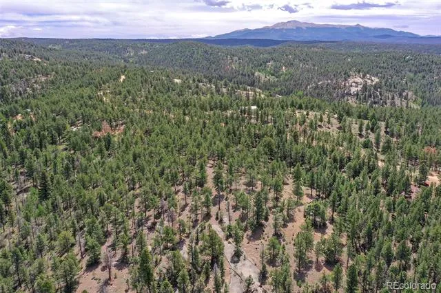293 Badger Trail Florissant, CO 80816