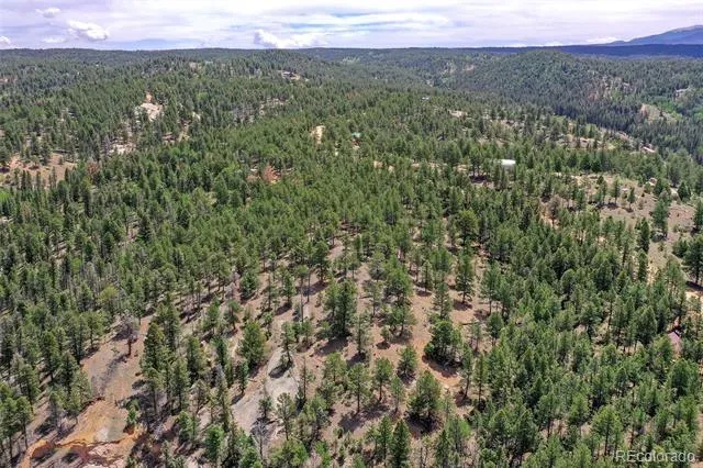 293 Badger Trail Florissant, CO 80816