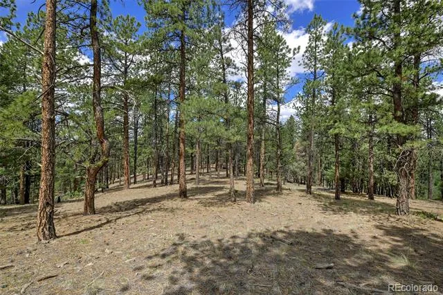 293 Badger Trail Florissant, CO 80816