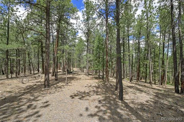 293 Badger Trail Florissant, CO 80816