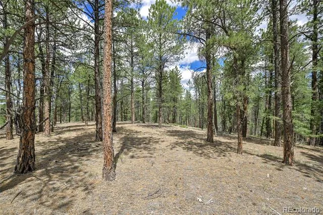 293 Badger Trail Florissant, CO 80816