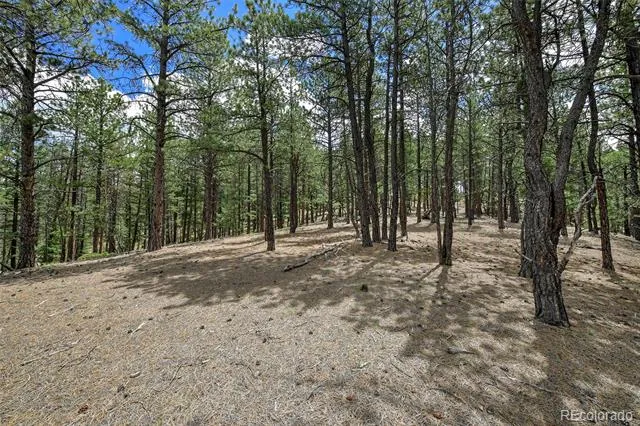 293 Badger Trail Florissant, CO 80816