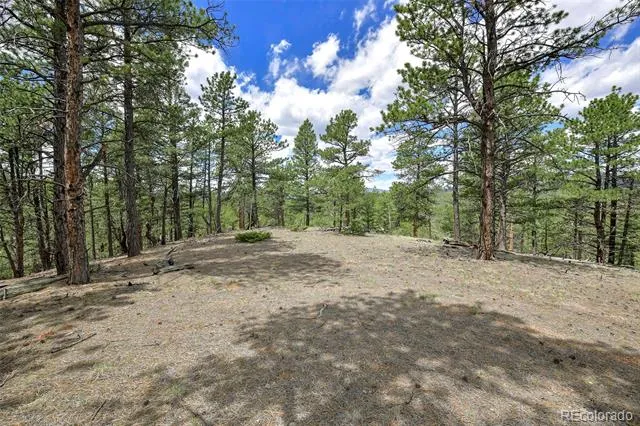 293 Badger Trail Florissant, CO 80816