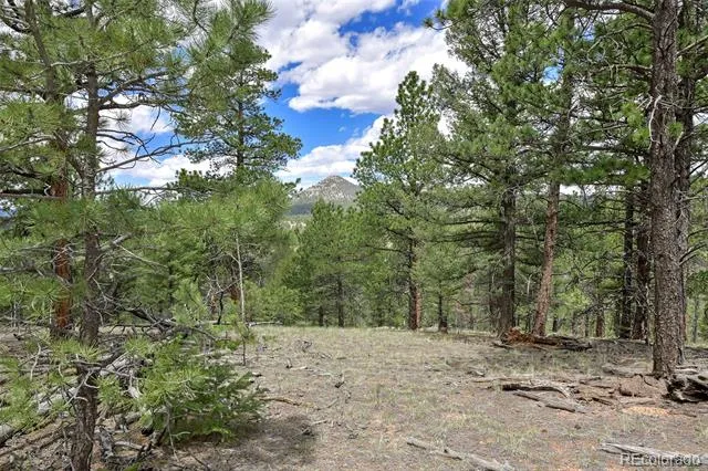 293 Badger Trail Florissant, CO 80816