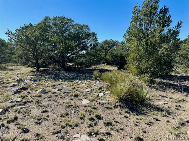 133 Cedar Ridge Road Mosca, CO 81146