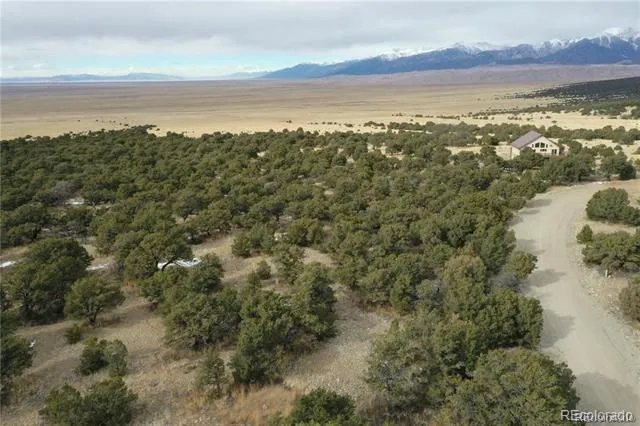 133 Cedar Ridge Road Mosca, CO 81146