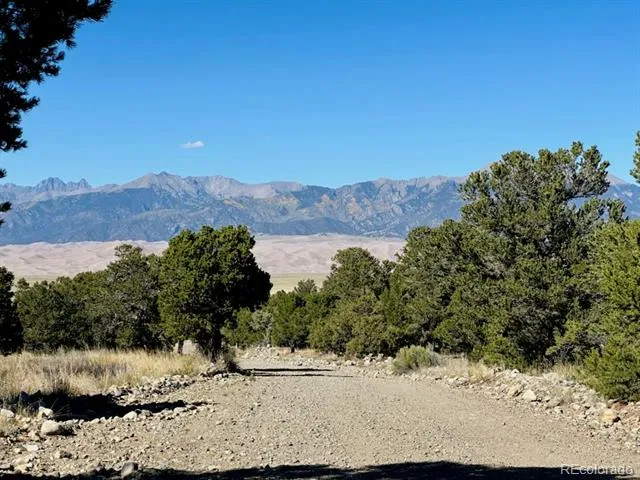 133 Cedar Ridge Road Mosca, CO 81146