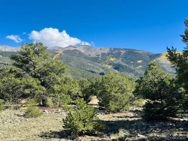 133 Cedar Ridge Road Mosca, CO 81146