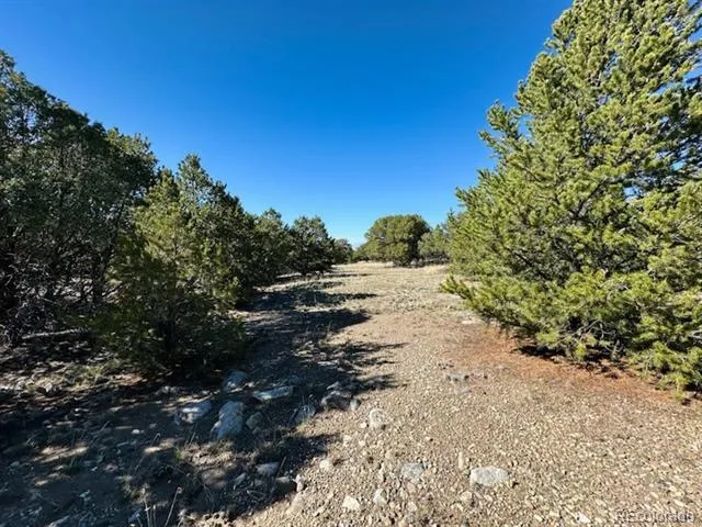 133 Cedar Ridge Road Mosca, CO 81146