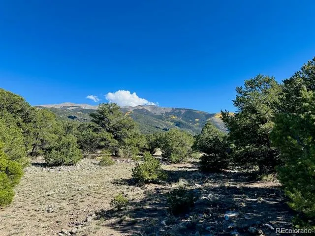 133 Cedar Ridge Road Mosca, CO 81146