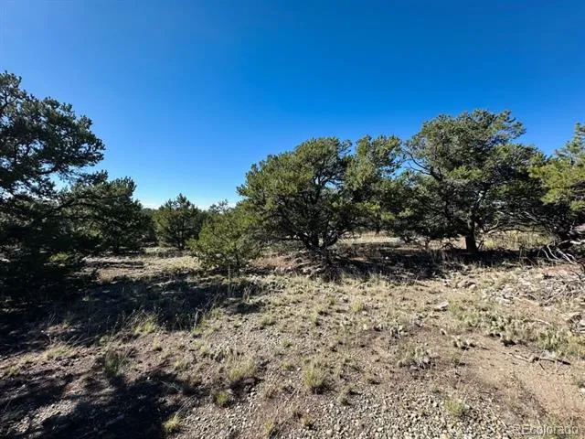 133 Cedar Ridge Road Mosca, CO 81146