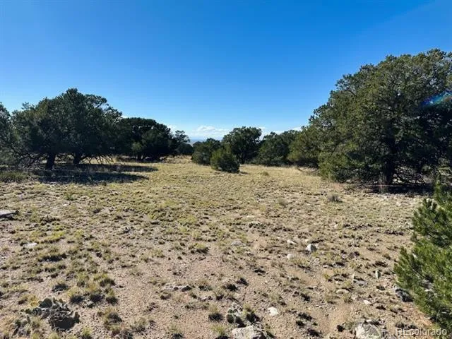 133 Cedar Ridge Road Mosca, CO 81146